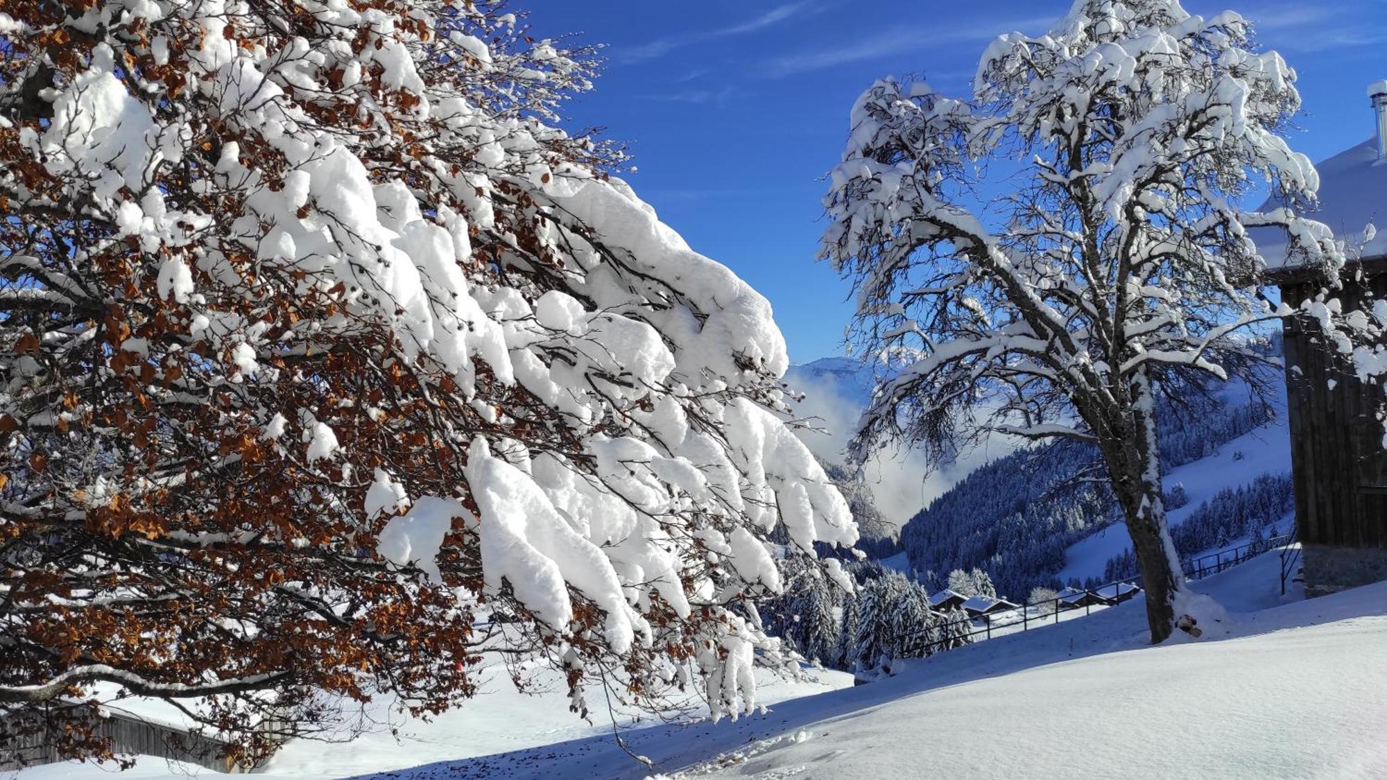 L'echappee Belle En Montagne - Site Location-chalet Chalet *